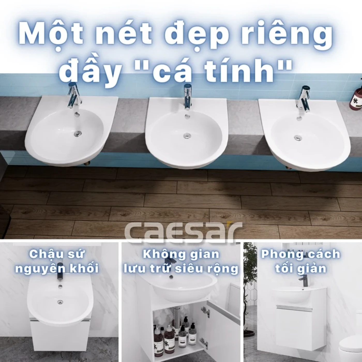 chau rua dat ban caesar lf5302 1