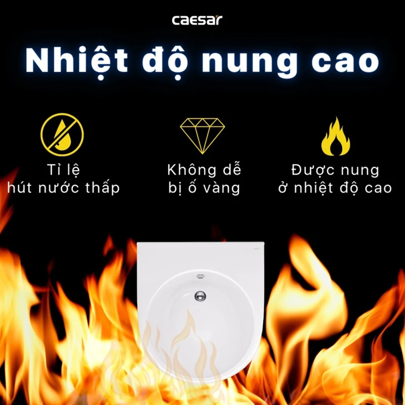 chau rua dat ban caesar lf5302 4