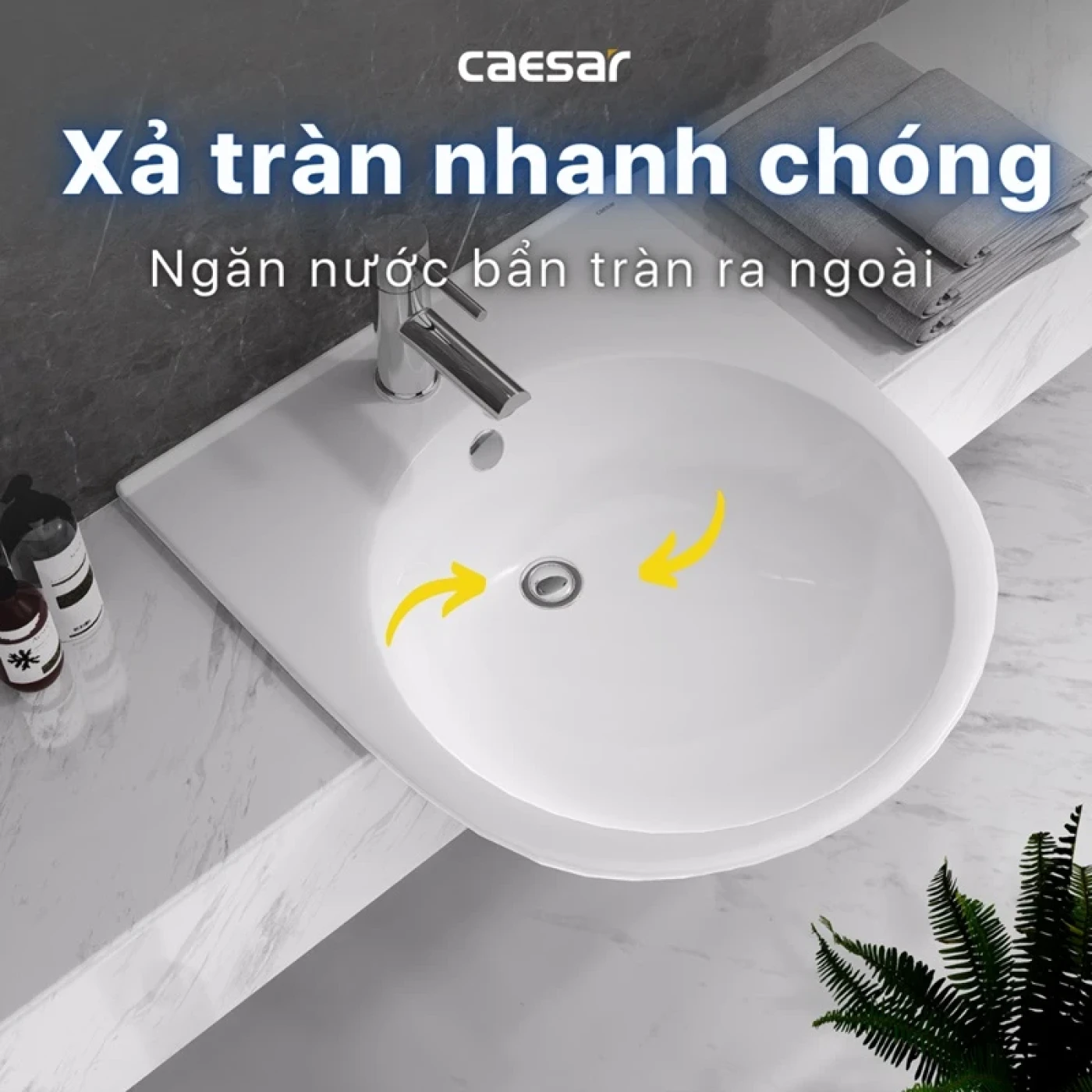 chau rua dat ban caesar lf5302 5