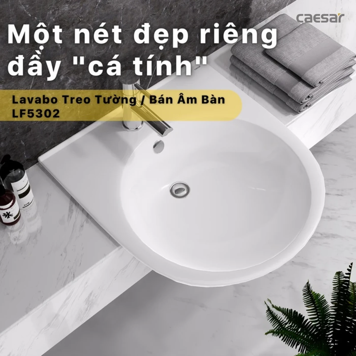chau rua dat ban caesar lf5302 9