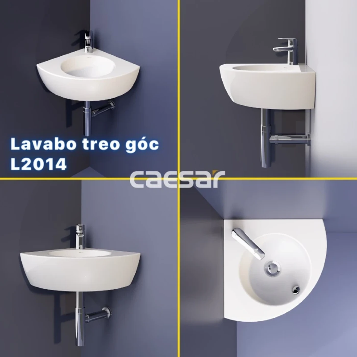 chau rua treo tuong caesar l2014 sang trong 1 1