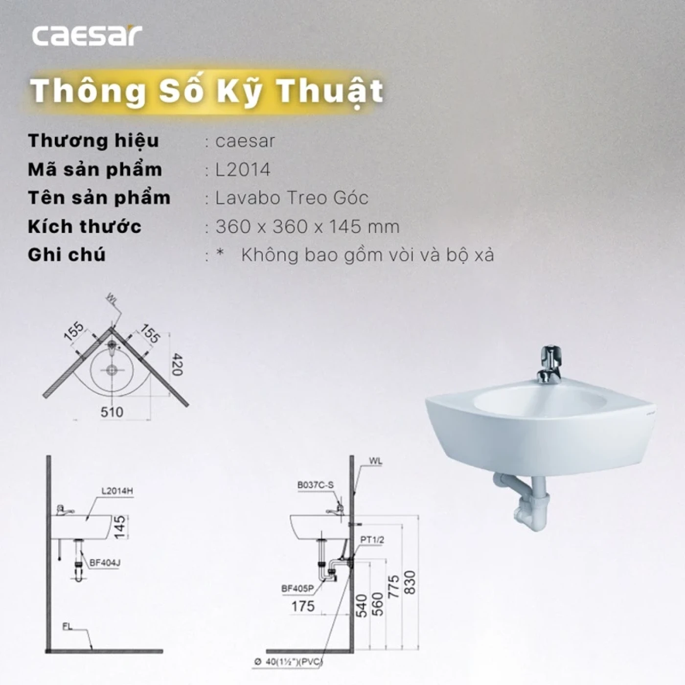 chau rua treo tuong caesar l2014 sang trong 6 1