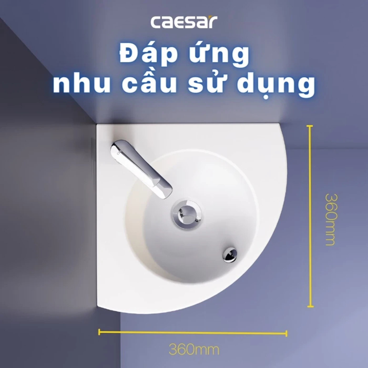 chau rua treo tuong caesar l2014 sang trong 3 1
