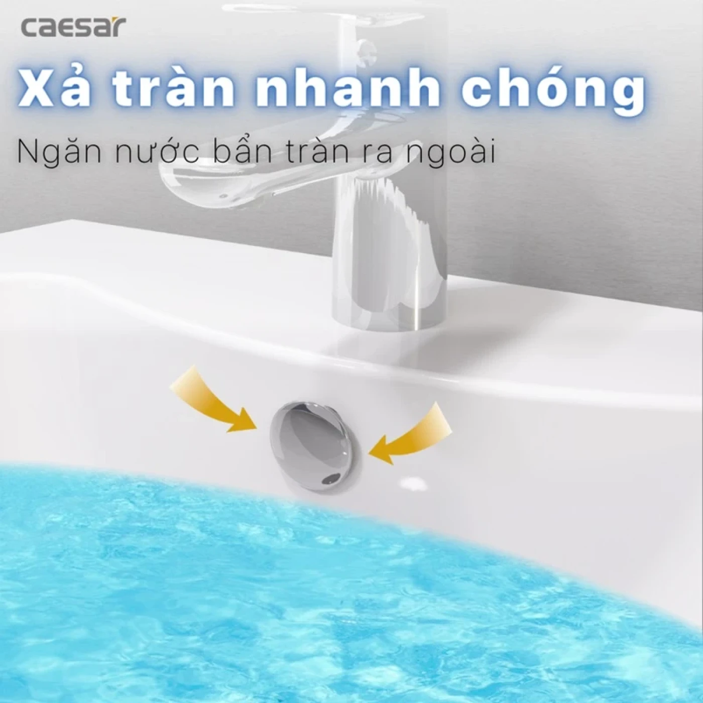 chau rua treo tuong caesar l2014 sang trong 4 1