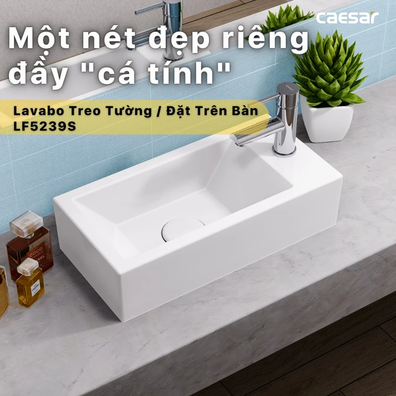 chau rua treo tuong caesar l5239s 9