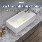 Chậu rửa treo tường Caesar LF5239S 3