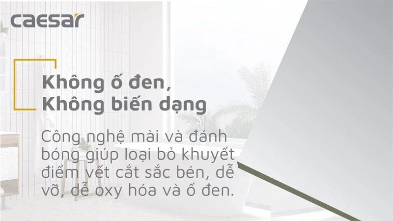 Ảnh Gương Caesar M936 4
