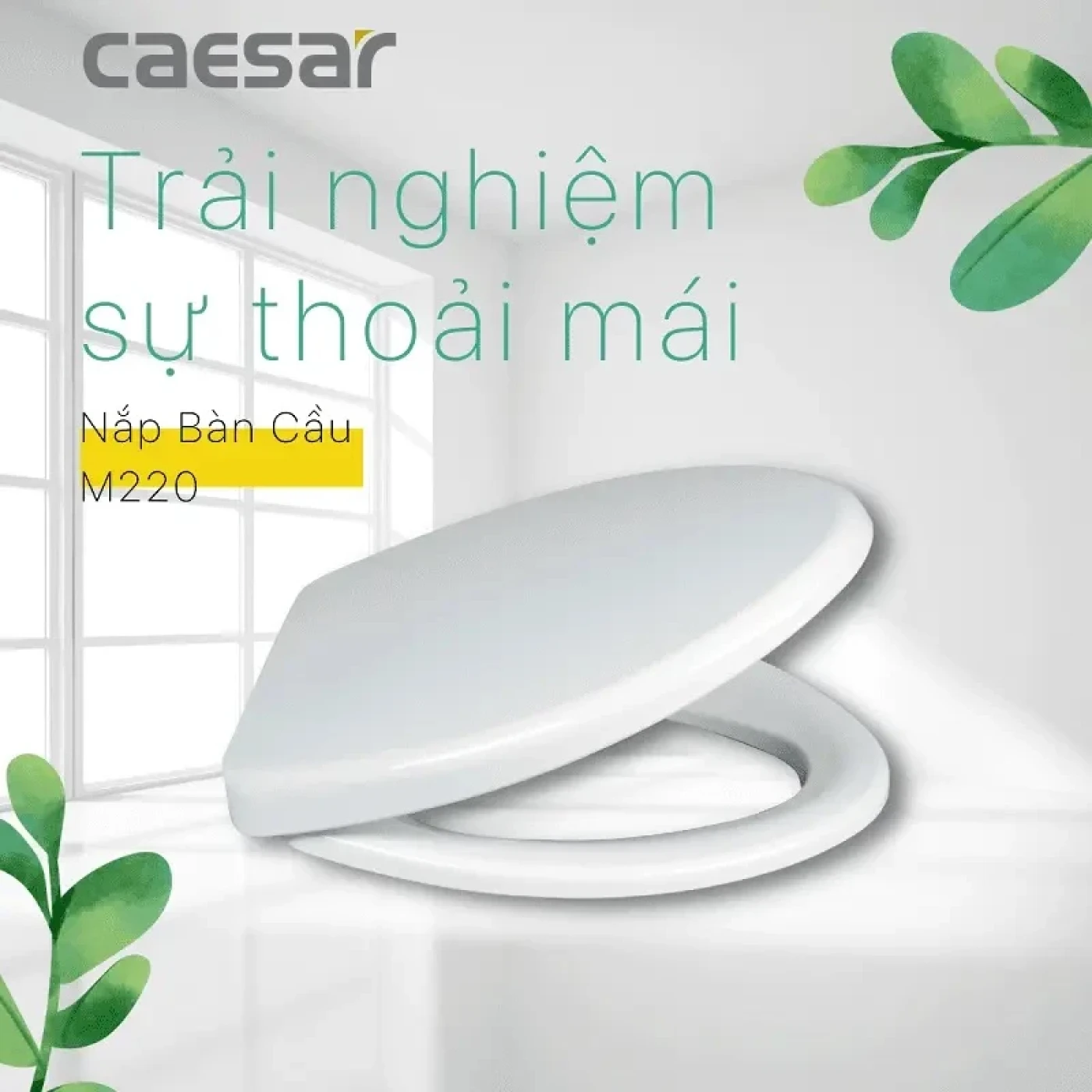 nap bon cau caesar m220 thuong 1