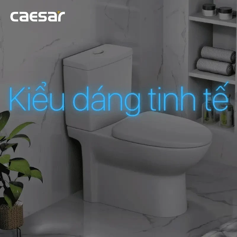 Ảnh Nắp bồn cầu Caesar M232 nhựa ABS 2