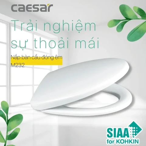 Ảnh Nắp bồn cầu Caesar M232 nhựa ABS 3