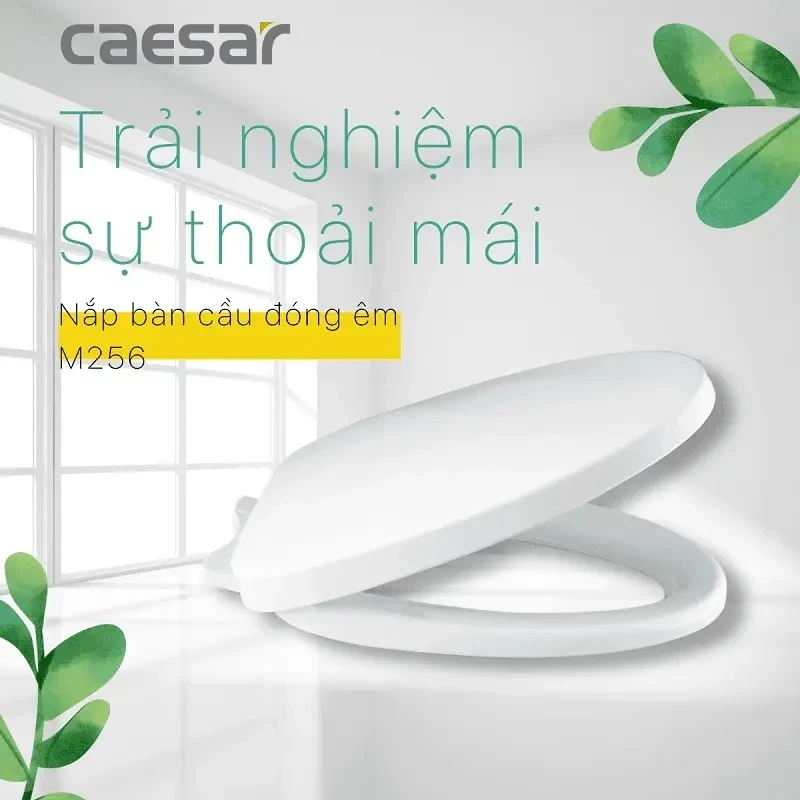 Ảnh Nắp bồn cầu Caesar M256 2