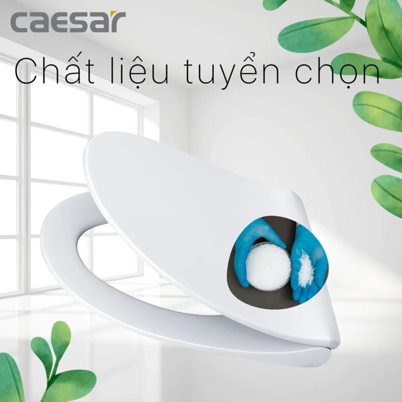 nap bon cau caesar m284 2