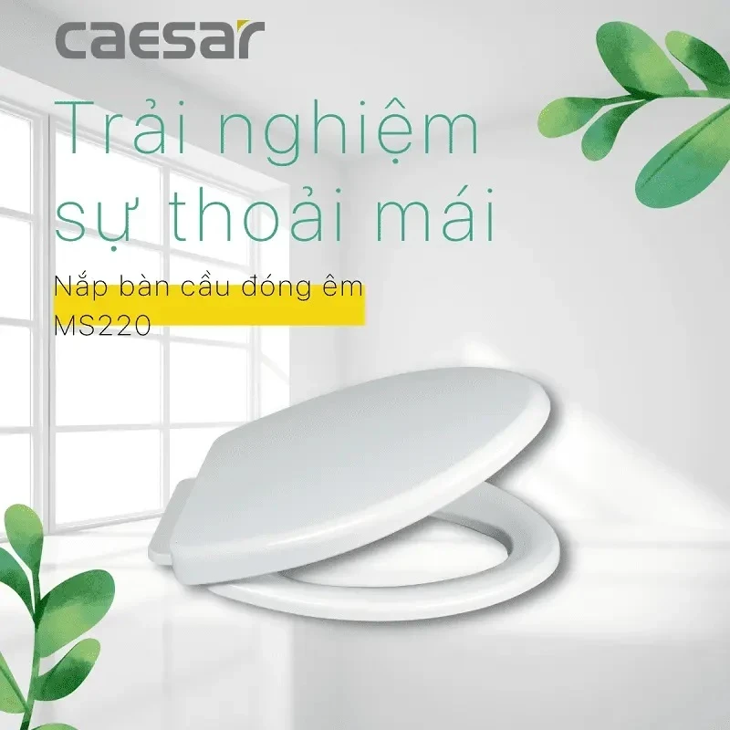 Ảnh Nắp bồn cầu Caesar MS220 2