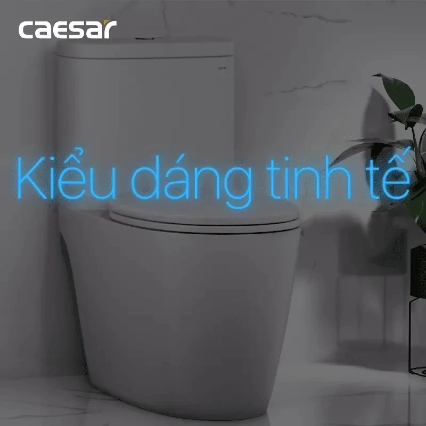 nap bon cau caesar mu234 1