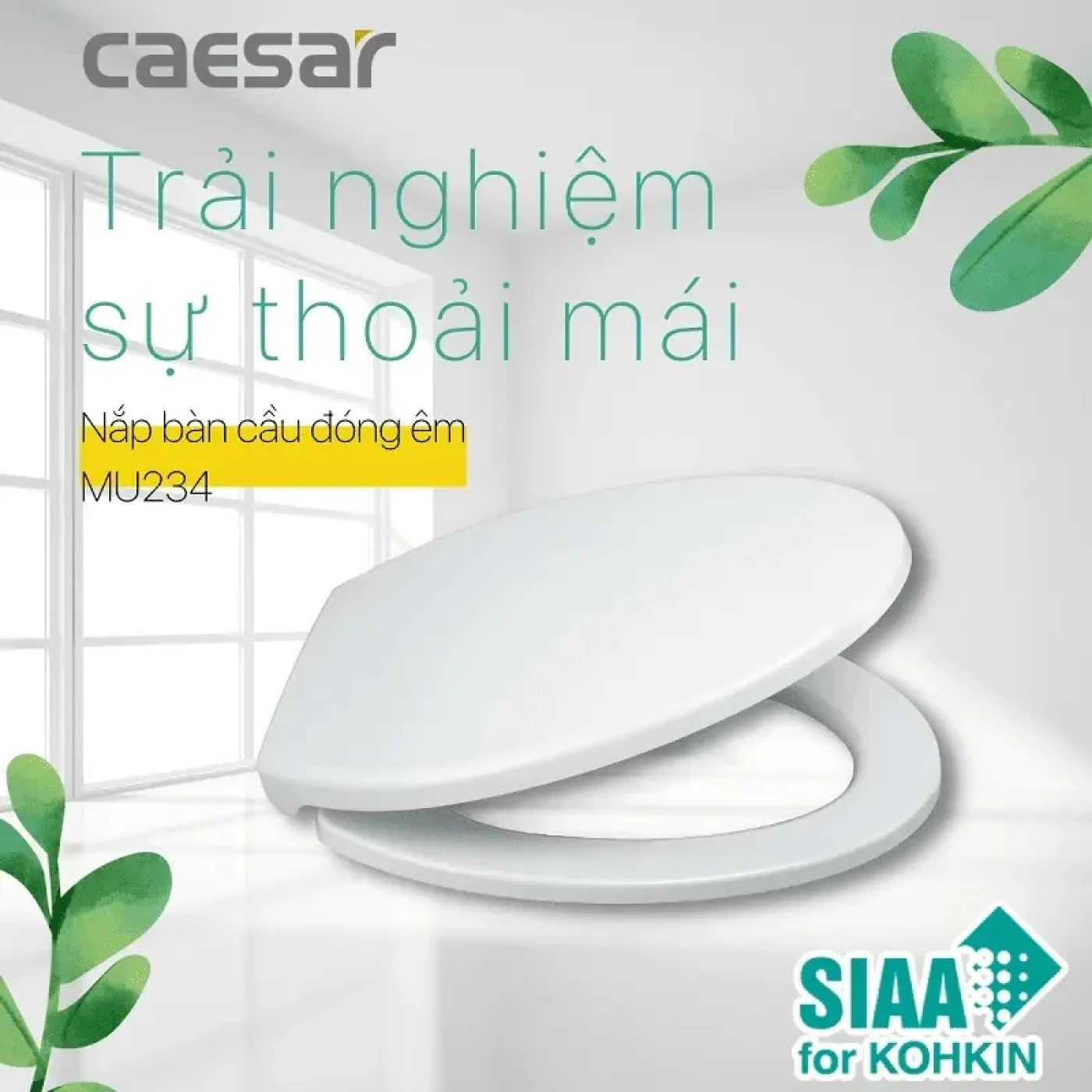 nap bon cau caesar mu234 2