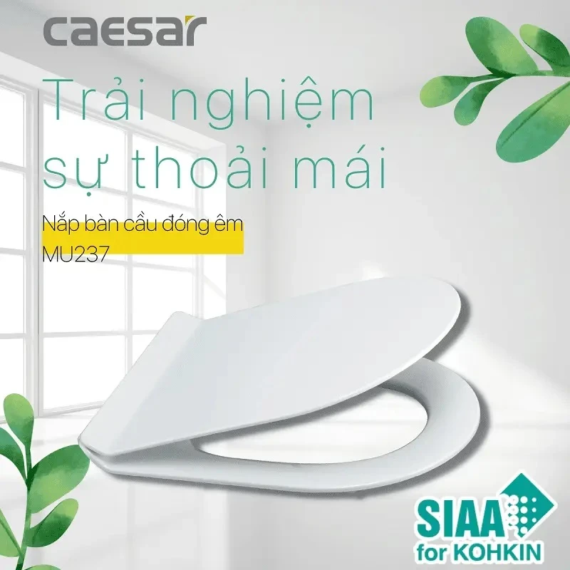 nap bon cau caesar mu237