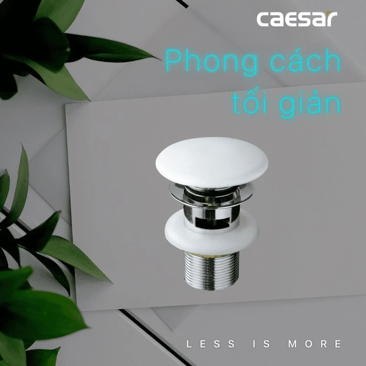 tru xa nap su caesar bf404h 2