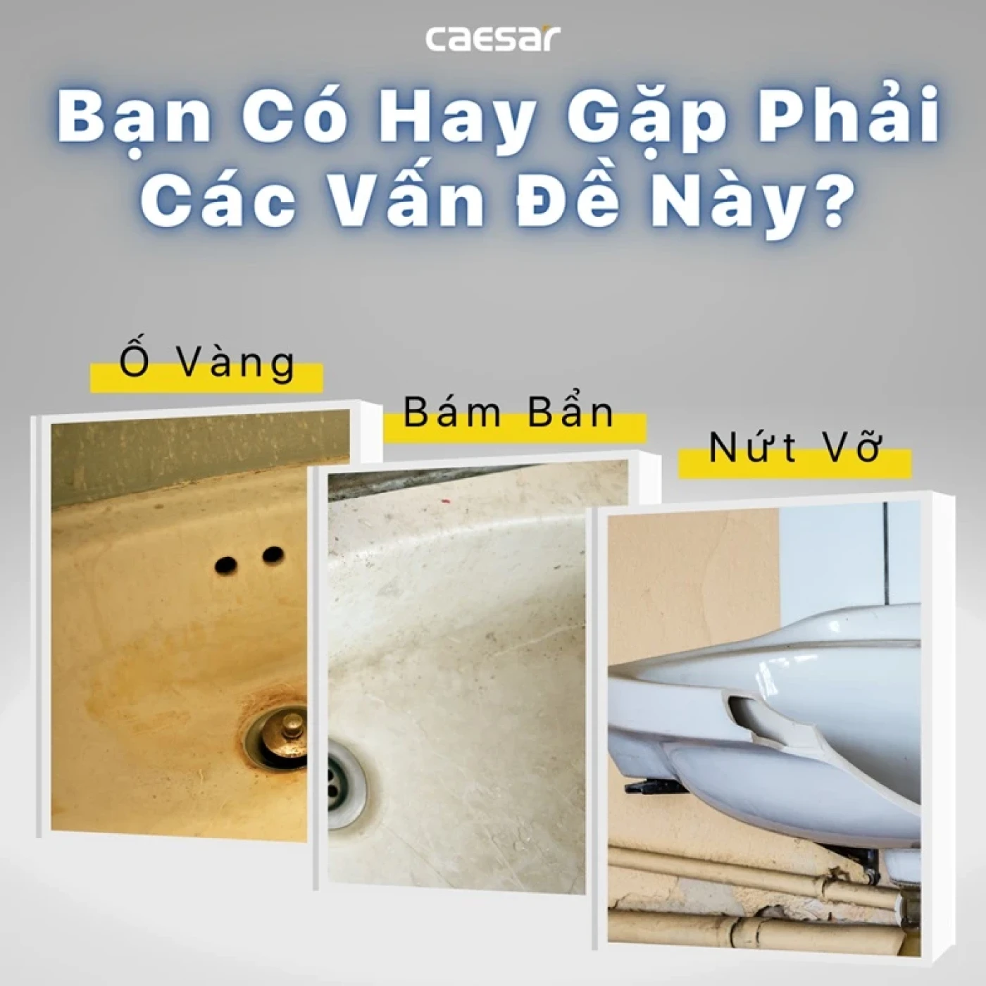 van de gap phai khi su dung chau rua