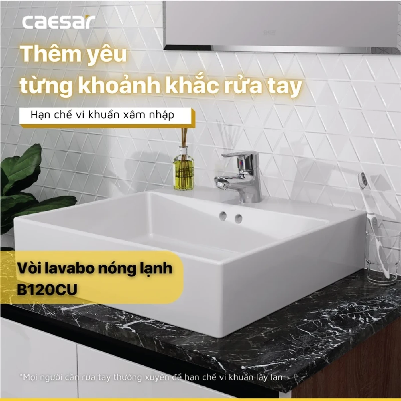 voi chau caesar b120cu 1