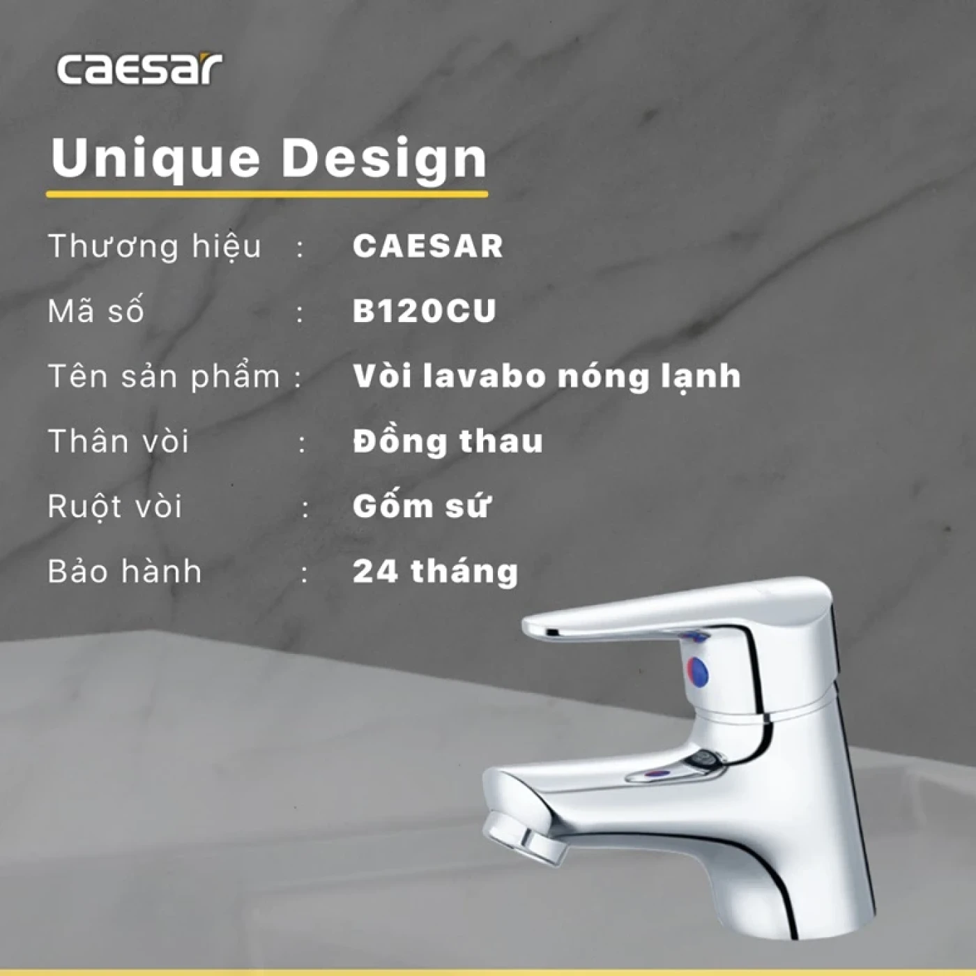 voi chau caesar b120cu 6