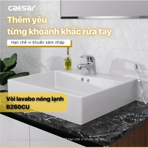 Ảnh Vòi chậu CAESAR B260CU 5