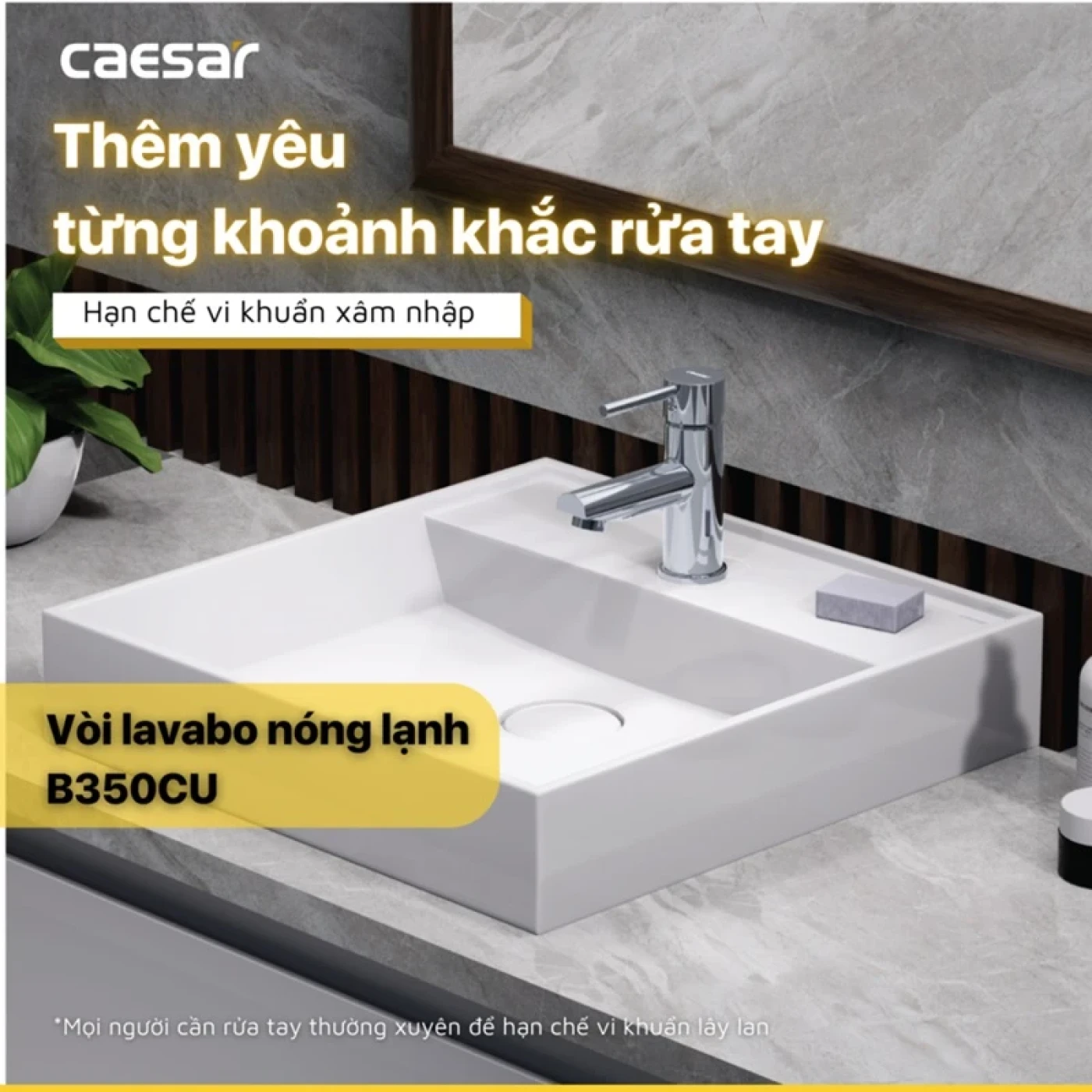 voi chau caesar b350cu 1