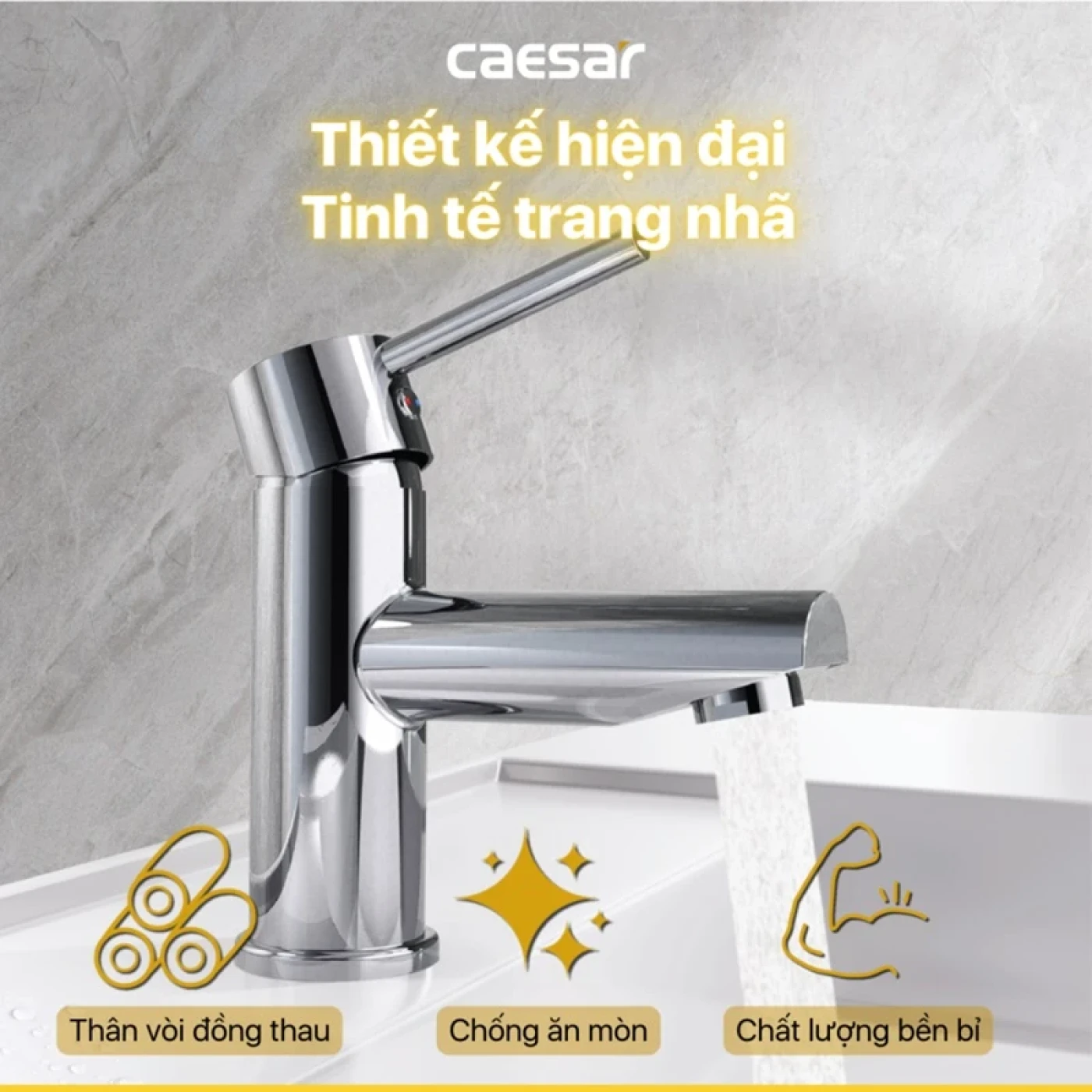 voi chau caesar b350cu 2