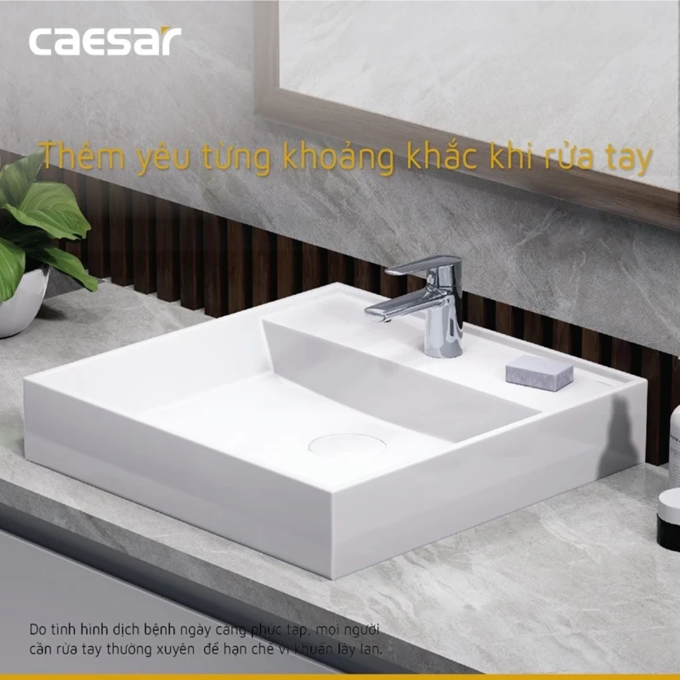 voi chau caesar b380cu 2