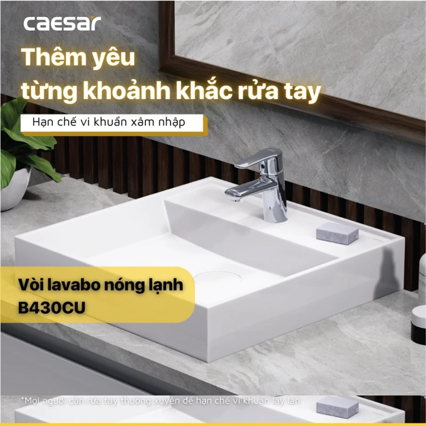voi chau caesar b430u 1