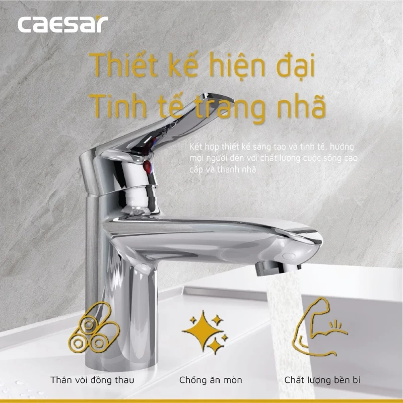 voi chau caesar b490cp 2