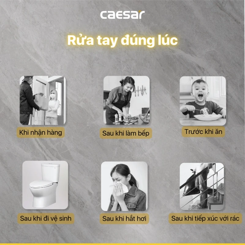 voi chau caesar b550c 8