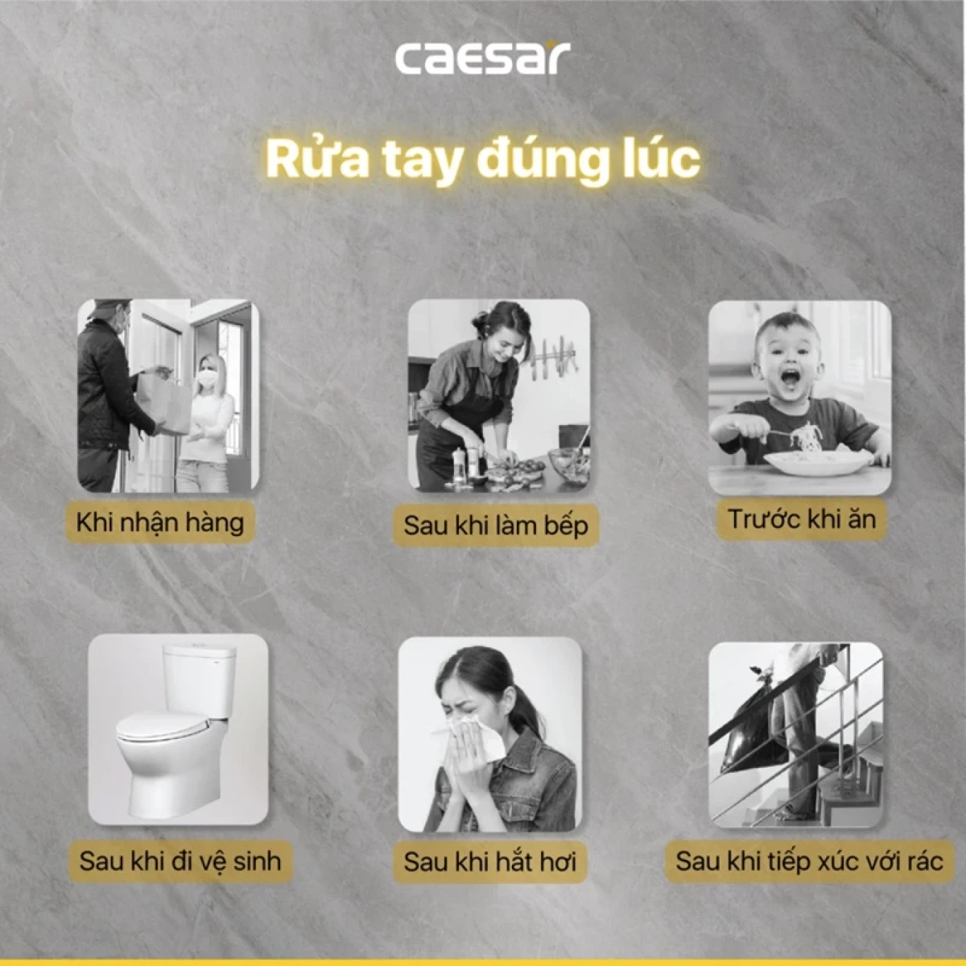 voi chau caesar b550c 8