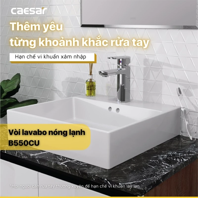voi chau caesar b550c 9