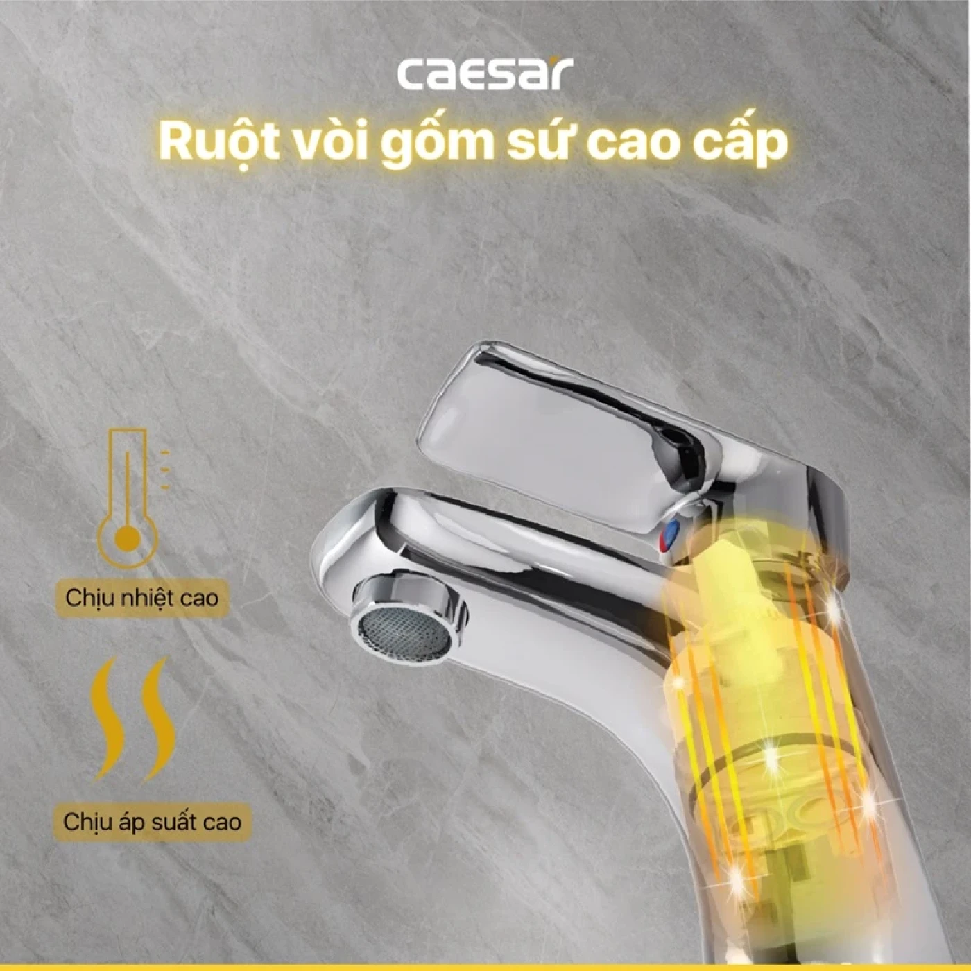 voi chau caesar b560cu 2