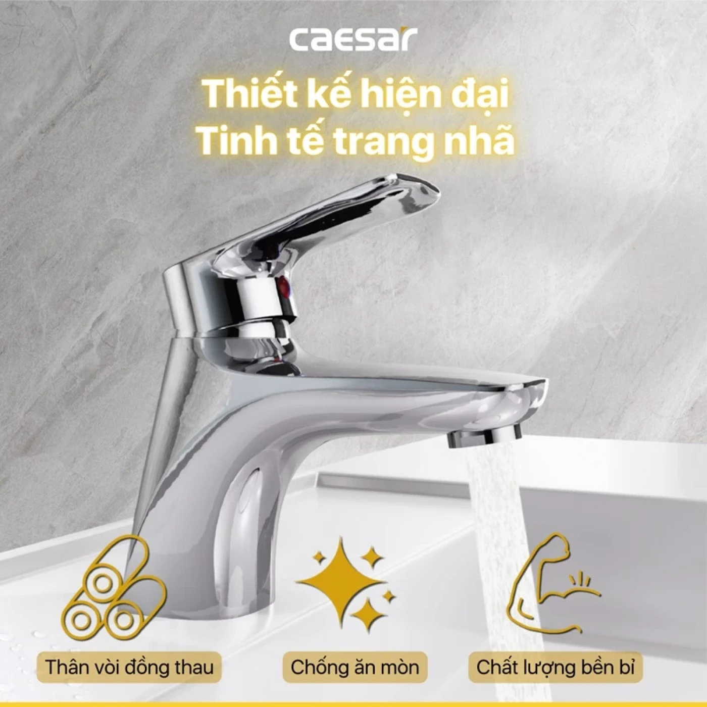 voi chau caesar b560cu 5