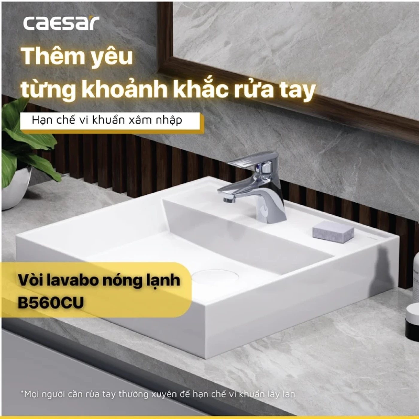voi chau caesar b560cu 6