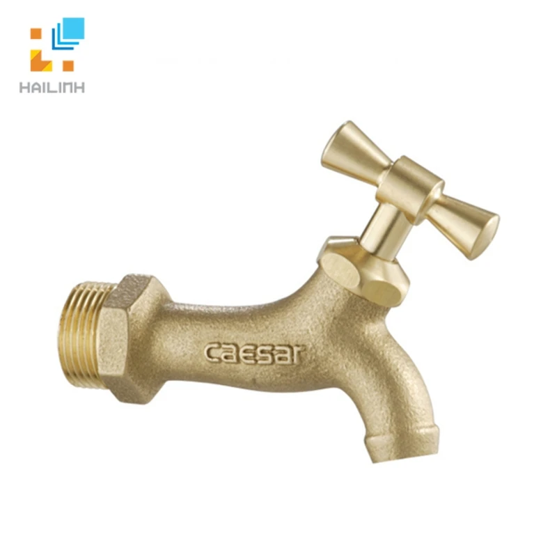 Ảnh Vòi lạnh gắn tường Caesar W035 1