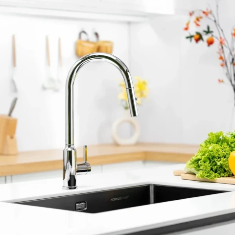 Ảnh Vòi rửa bát Nobinox IVY NX202 2