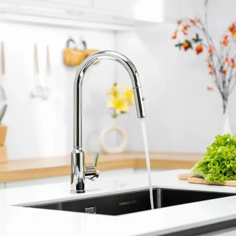 Ảnh Vòi rửa bát Nobinox IVY NX202 5