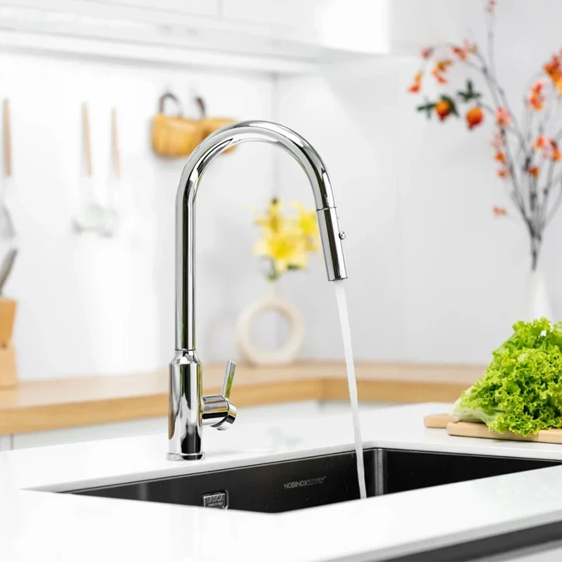 Ảnh Vòi rửa bát Nobinox IVY NX202 5