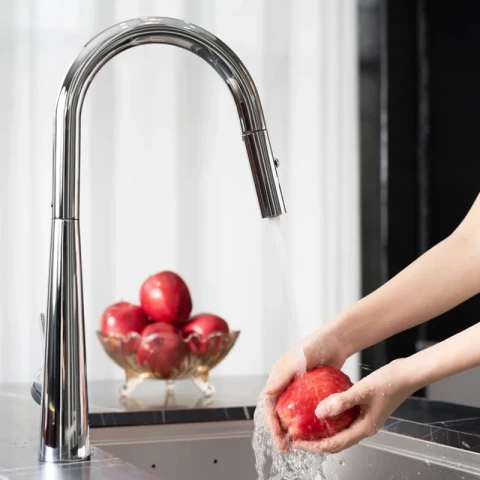 Ảnh Vòi rửa bát Nobinox WINTO NX500 2