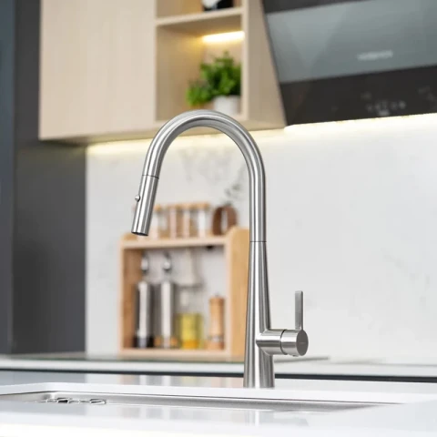 Ảnh Vòi rửa bát Nobinox WINTO NX501 2