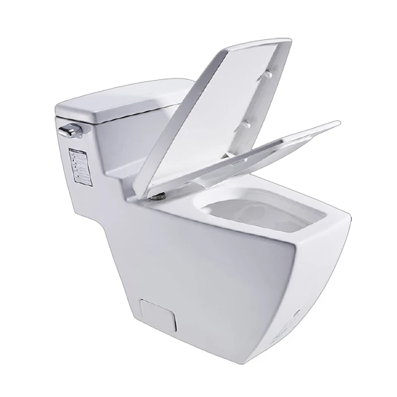 Ảnh Bồn cầu 1 khối COTTO C10187 3