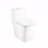 Combo thiết bị vệ sinh Cotto số 32 2