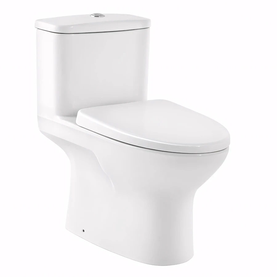 Ảnh Bồn cầu 1 khối Cotto C105337 1