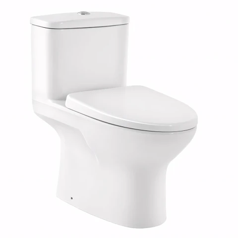 Bồn cầu 1 khối Cotto C105337