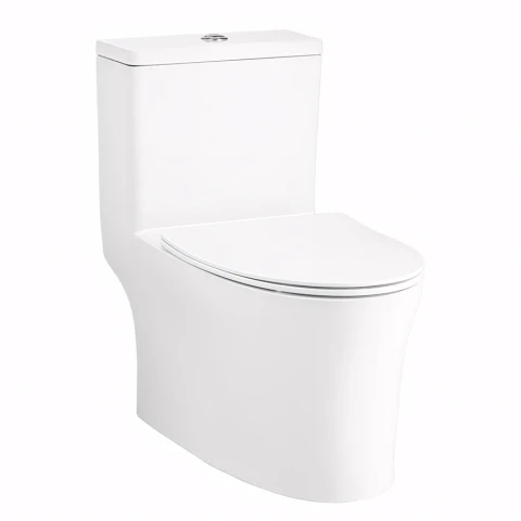 Ảnh Bồn cầu 1 khối Cotto C105607 1