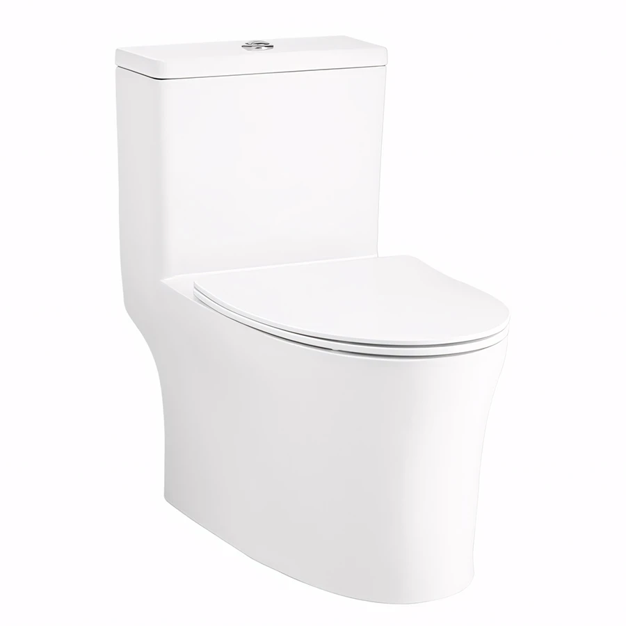 Bồn cầu 1 khối Cotto C105617