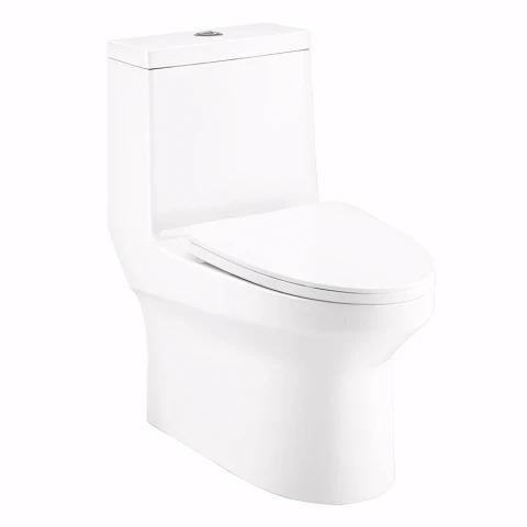 Bồn cầu 1 khối Cotto C11000OS