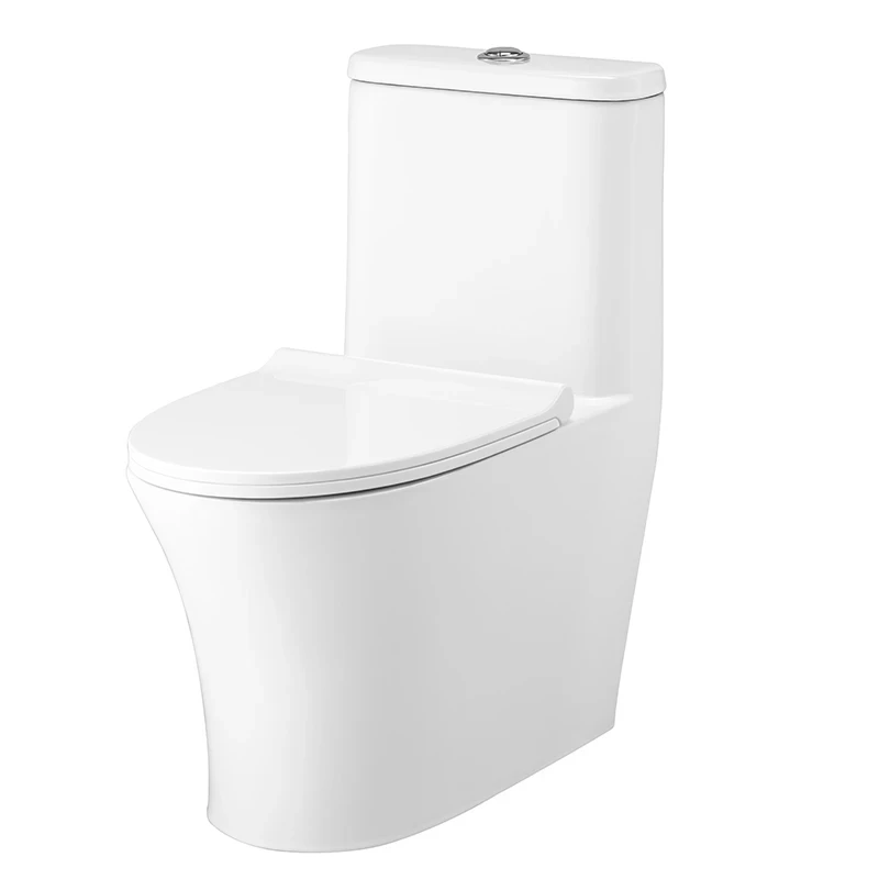 Ảnh Bồn cầu 1 khối Cotto C11001HNOS 3